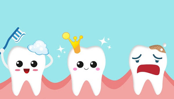 牙齿健康动画图