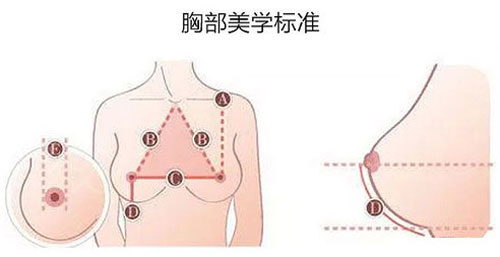 佛山禅城中心整形医院胸部美学标准