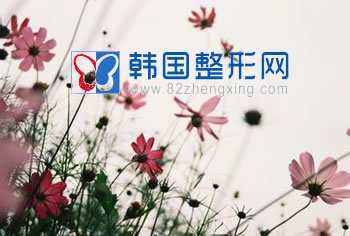 上班族如何保持苗条身材?(三)