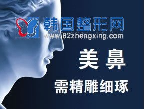 隆鼻手术价格是多少？