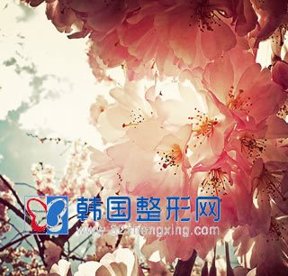玻尿酸注射除皱法