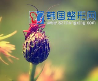 面部除皱术后护理是除皱的关键