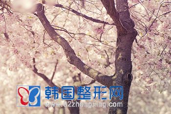 什么是骨膜下除皱术