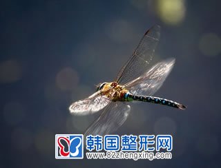 垫下巴整容术