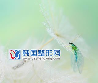 韩国下巴整形手术方法有哪些？