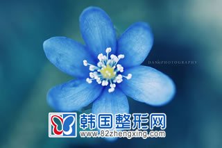 下巴整形手术副作用详解