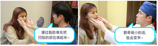 菲斯莱茵.png