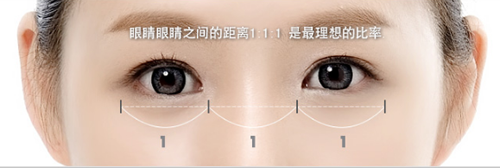 眼睛之间理想比例