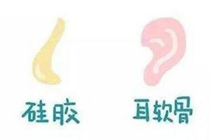 硅胶耳软骨示意图