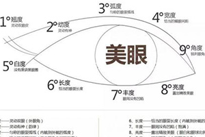 双眼皮示意图