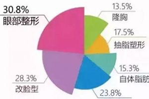 整形比例