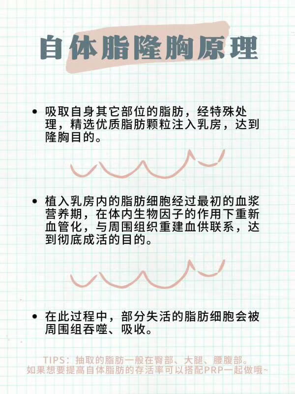 自体脂肪丰胸原理.jpg