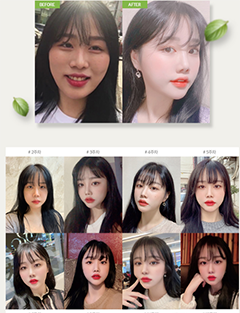 菲斯莱茵案例.png