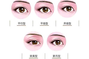 双眼皮形态.jpg