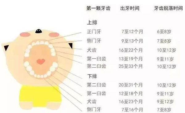 儿童矫正牙齿的时间
