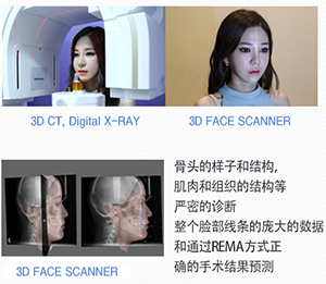 菲斯莱茵案例1.png