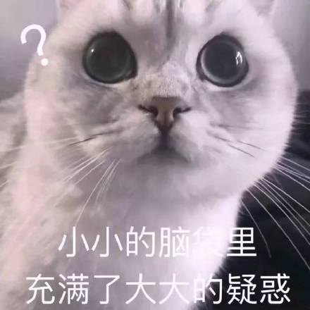 小朋友你是否有很多问好？？